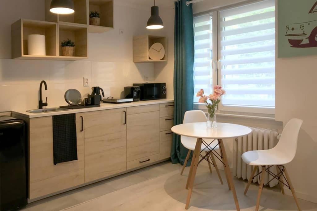 Apartament Nad Wisla, Spacerem Na Kazimierz, Wawel Krakau Buitenkant foto
